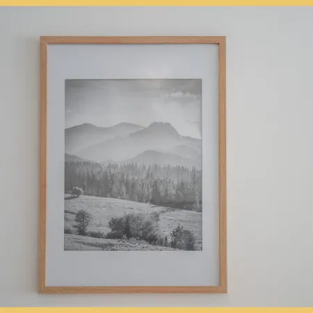 La Fleur Des Alpes I I Les Brasses Apartmán Viuz-en-Sallaz